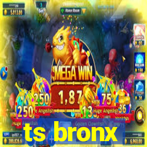 ts bronx